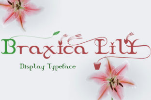 Braxica Lily: A Designer’s First Look