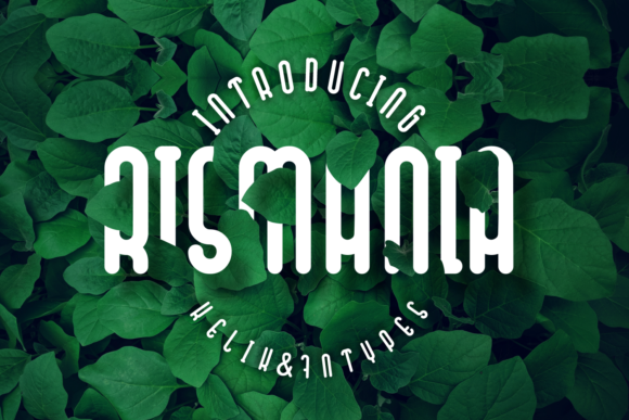 Rismania Font for Modern Web Design